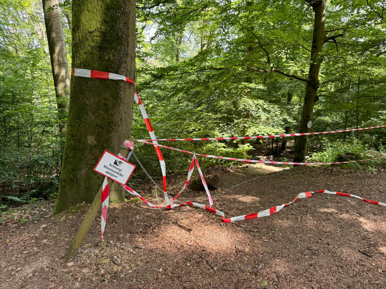 Gravity-Trail Abschnitt in Bau